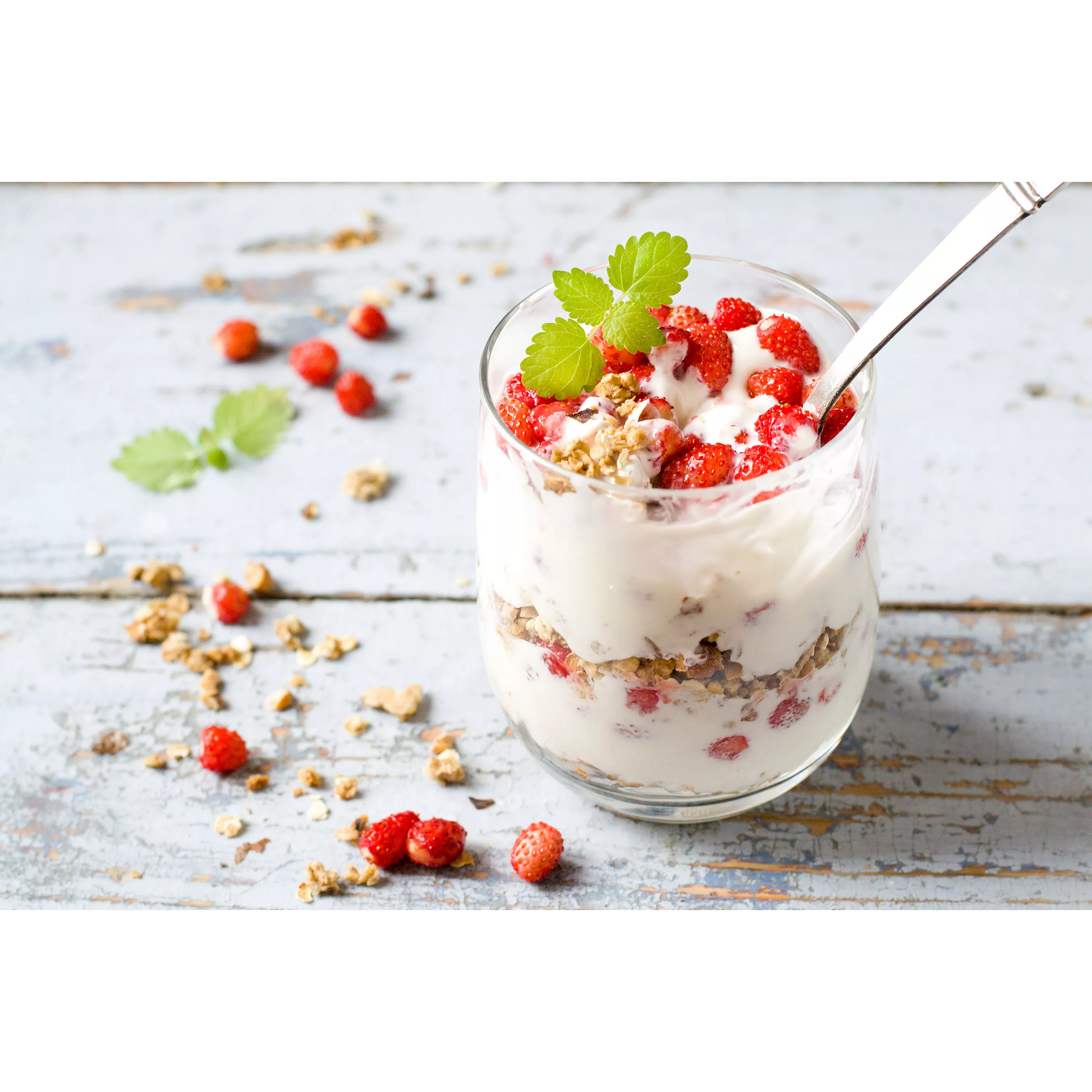 Yaourtière Fromagère LAGRANGE Ligne - 9 Pots + Goupillon et Entonnoir