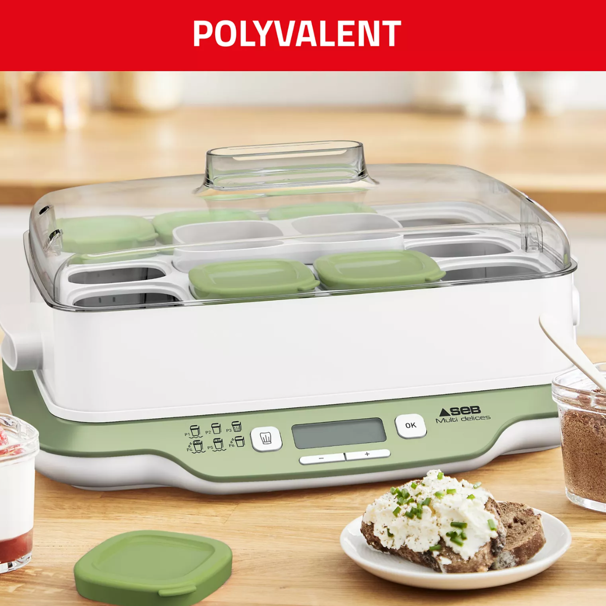 Yaourtière Fromagère SEB - 12 Pots - MultiDelices Express & Végétal